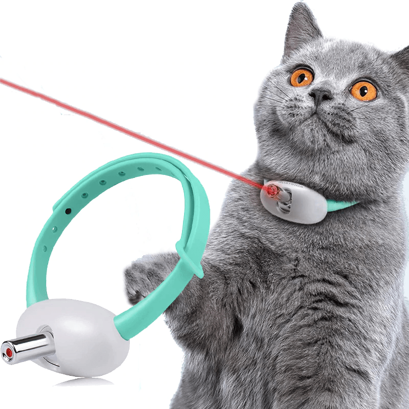 Laser Collar for Cats - THE TRENDZ HIVE 