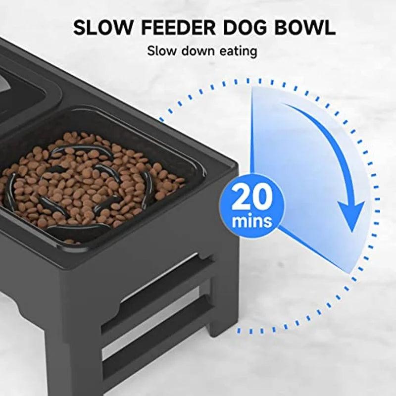 Elevated Mess-Free Dog Bowl - THE TRENDZ HIVE 