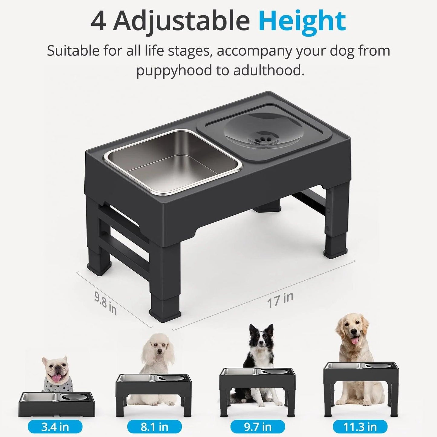 Elevated Mess-Free Dog Bowl - THE TRENDZ HIVE 